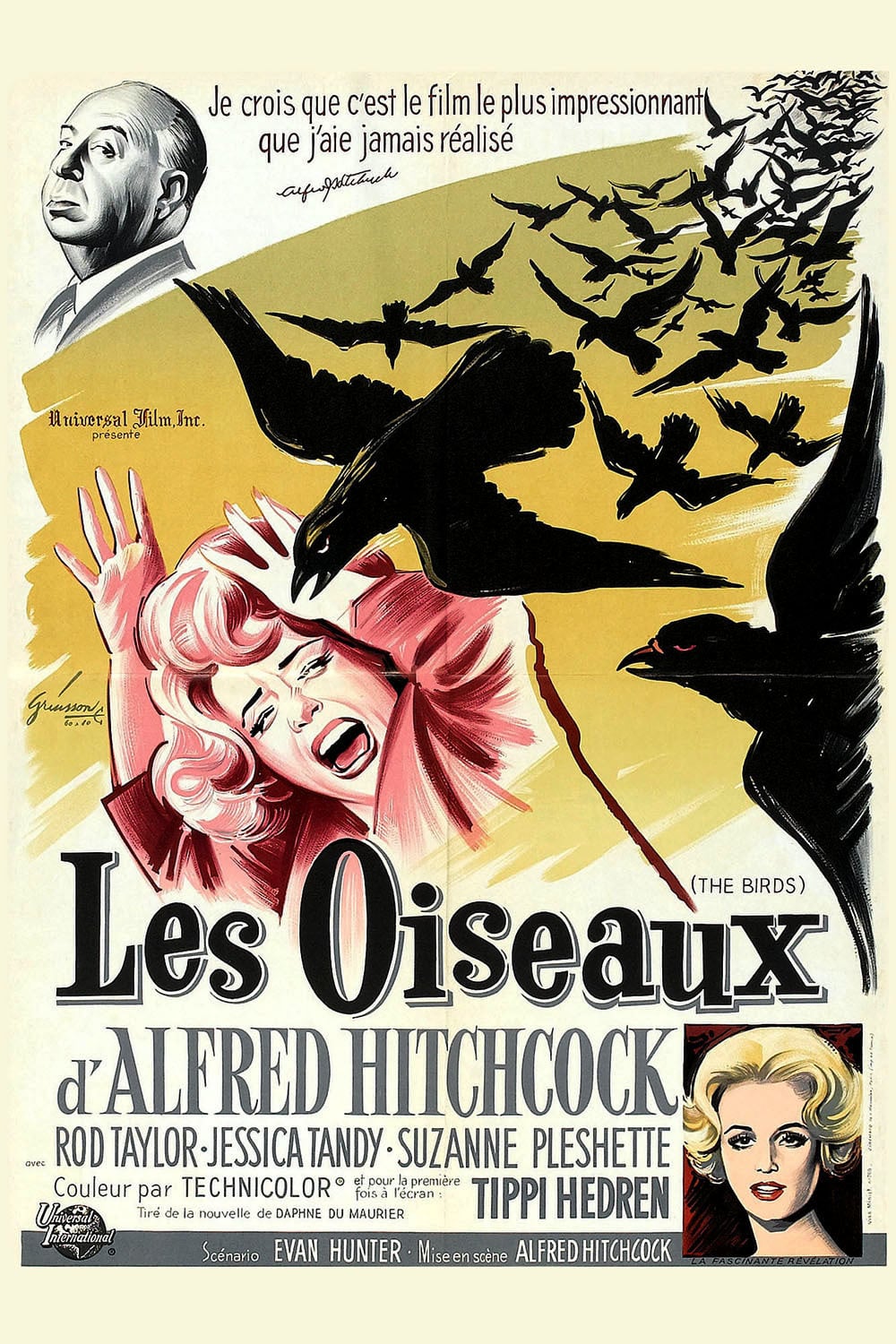 Affiche du film "Les Oiseaux"